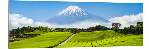 Stampa su alluminio Mount Fuji and tea fields in Shizuoka, Japan