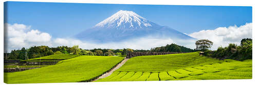 Canvas print Mount Fuji and tea fields in Shizuoka, Japan