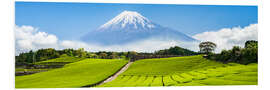 Tableau en PVC Mount Fuji and tea fields in Shizuoka, Japan