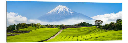 Gallery print Mount Fuji and tea fields in Shizuoka, Japan