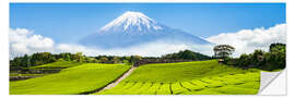 Naklejka na ścianę Mount Fuji and tea fields in Shizuoka, Japan