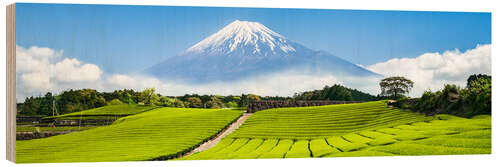 Wood print Mount Fuji and tea fields in Shizuoka, Japan