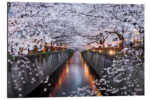 Aluminium print Cherry blossoms in spring in Nakameguro, Tokyo, Japan