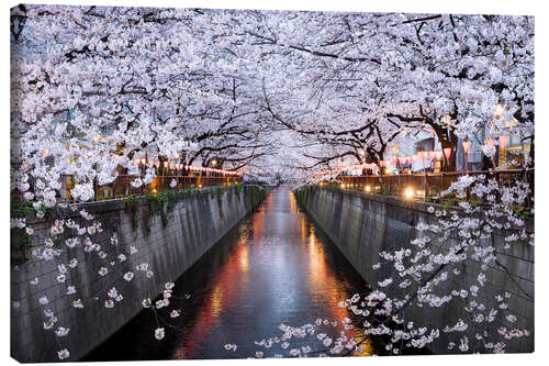Leinwandbild Kirschblüten im Frühling in Nakameguro, Tokyo, Japan