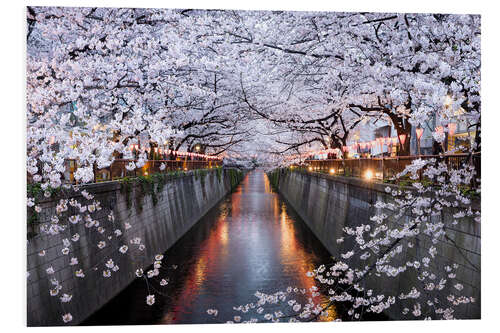 PVC-taulu Cherry blossoms in spring in Nakameguro, Tokyo, Japan
