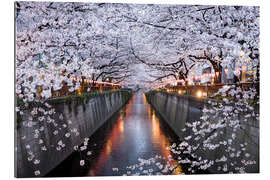 Tableau en plexi-alu Cherry blossoms in spring in Nakameguro, Tokyo, Japan