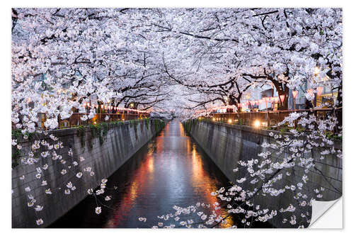 Sisustustarra Cherry blossoms in spring in Nakameguro, Tokyo, Japan