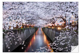 Sisustustarra Cherry blossoms in spring in Nakameguro, Tokyo, Japan