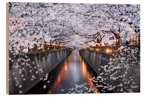 Cuadro de madera Cherry blossoms in spring in Nakameguro, Tokyo, Japan