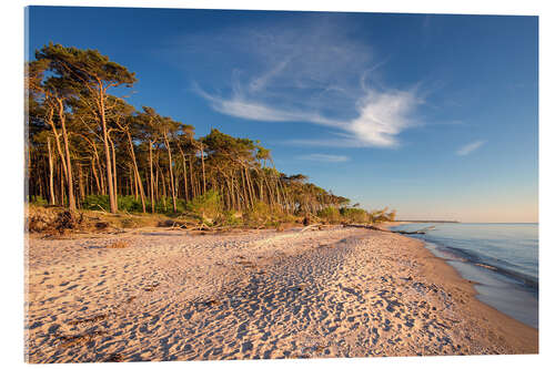 Acrylic print Golden Beach