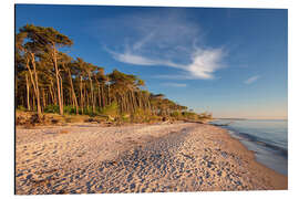 Aluminium print Golden Beach