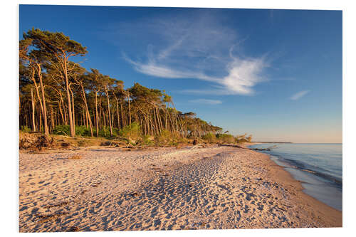 Foam board print Golden Beach