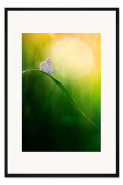 Gerahmter Kunstdruck Weisheit hat nichts mit dem Alter zu tun