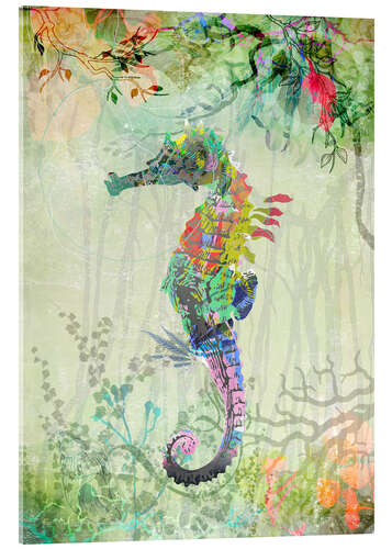 Acrylic print Ocean seahorse