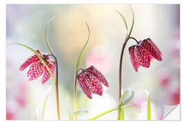 Selvklebende plakat Snakes head fritillary