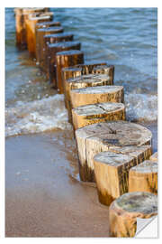 Autocolante decorativo Groynes at the German Baltic Sea