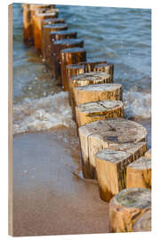 Holzbild Buhnen am Ostsee-Strand