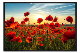 Gerahmter Kunstdruck Mohn am Abend