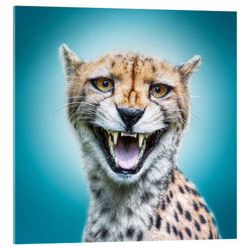 Acrylic print Funny Wild Faces Cheetah