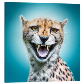 Gallery print Funny Wild Faces Cheetah