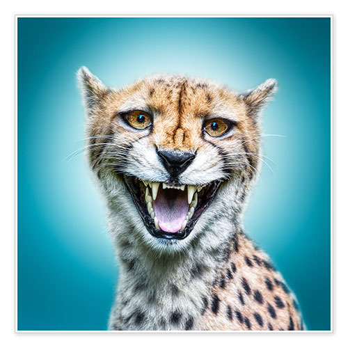 Póster Funny Wild Faces Cheetah