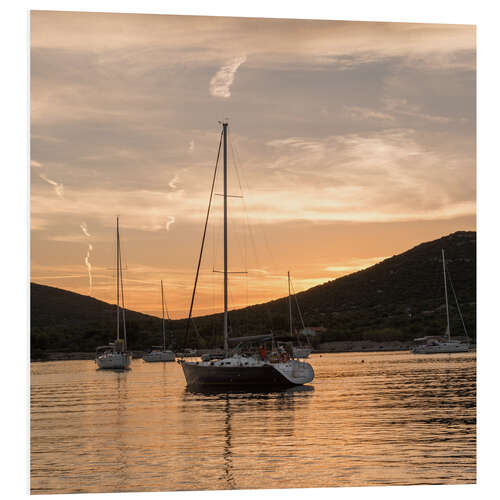 Foam board print Sailing boats in the Evening Light