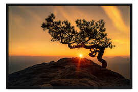 Gerahmter Kunstdruck Sonnenaufgang