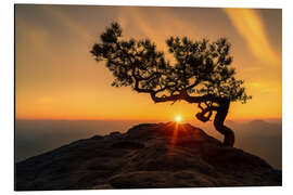 Magnettafel Sonnenaufgang