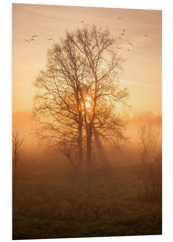 Hartschaumbild Morgenstimmung