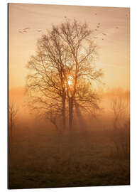 Magnettafel Morgenstimmung