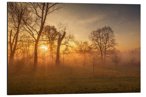 Aluminium print Sunrise