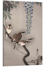 Aluminiumtavla Sparrows on wisteria
