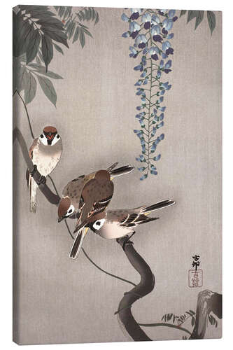 Lerretsbilde Sparrows on Wisteria
