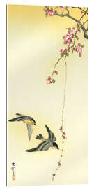 Gallery print Starlings and Cherry Tree