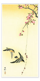 Reprodução  Pássaros e cerejeira - Ohara Koson