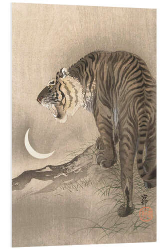 Foam board print Roaring Tiger, Crescent Moon