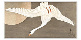 Veggbilde  White Fronted Goose and Full Moon - Ohara Koson