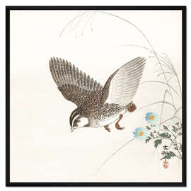 Gerahmter Kunstdruck Wachtel im Flug