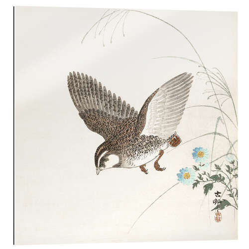 Galleriprint Quail in Flight