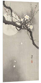 Foam board print Plum Blossoms at Night