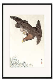 Gerahmter Kunstdruck Fliegender Adler