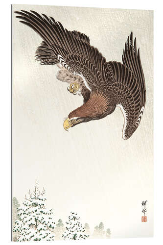 Galleritryck Eagle in Flight