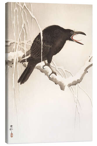 Canvas-taulu Blackbird in snow