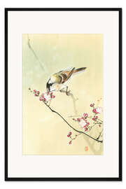 Gerahmter Kunstdruck Kleiner Vogel und Blüten