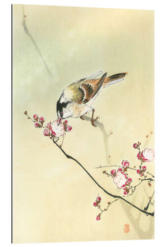 Gallery print Small Bird and Blossoms