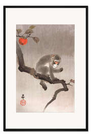 Gerahmter Kunstdruck Affe in einem Baum