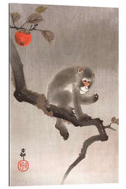 Gallery print Monkey in a Tree