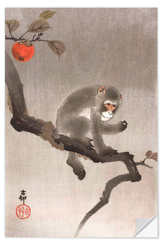 Selvklebende plakat Monkey in a Tree