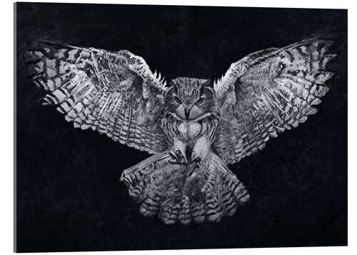 Akrylglastavla Night Flight of The Owl