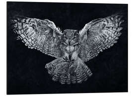 Aluminium print Night Flight of The Owl